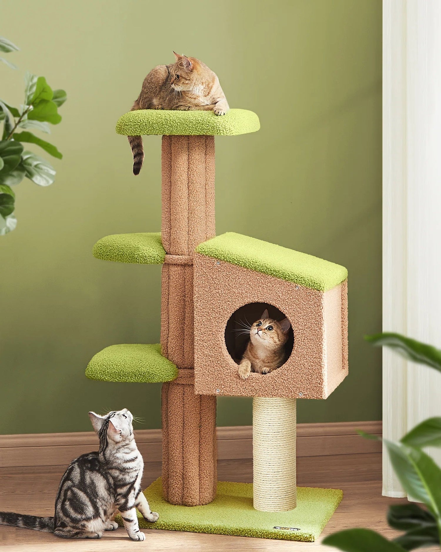 Pet House