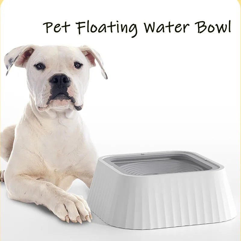 Pets Dog Cat Bowl Floating