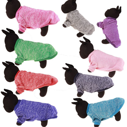 Colorful pet clothes pet two-legged sweater