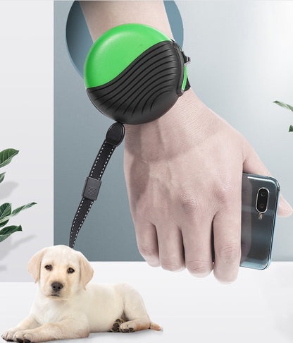 Wrist-type pet watch leash