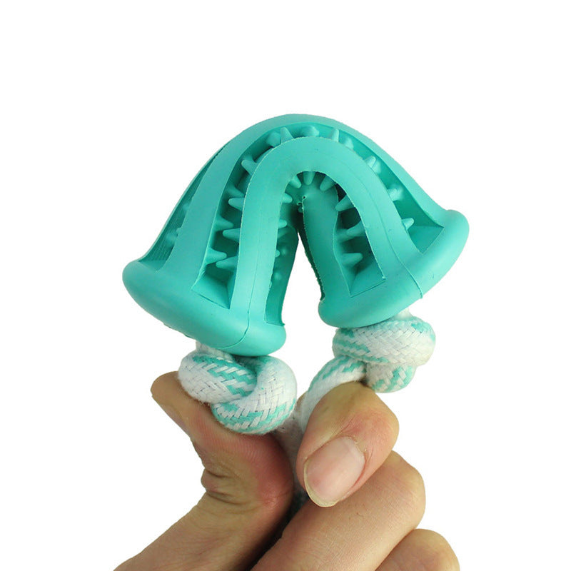 Dog molar toy