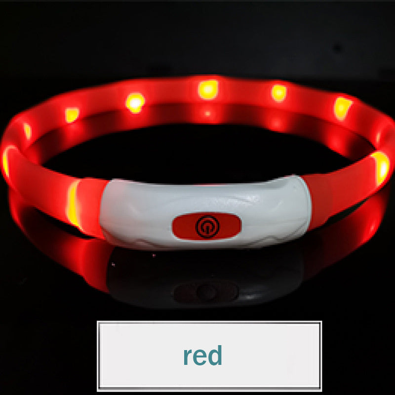 Pet Luminous Collar All Seasons