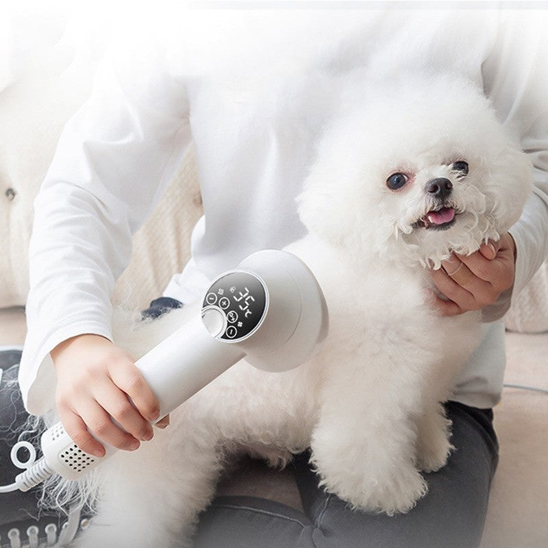 Smart Pet Hair Dryer Dog Golden Retriever Cat