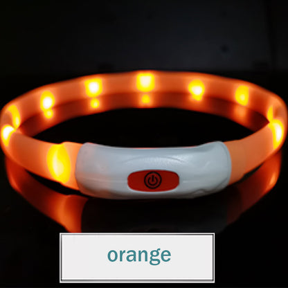 Pet Luminous Collar All Seasons