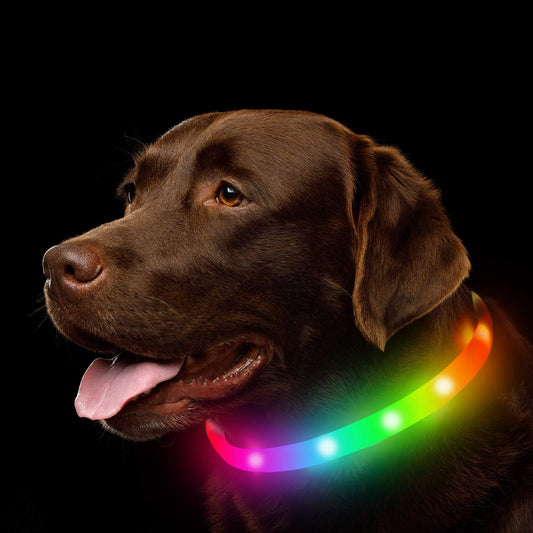 Pet Luminous Collar All Seasons