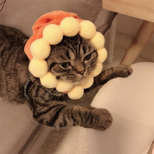 Curly Hair Pet Hat Cat Funny Dress Up Pet Products