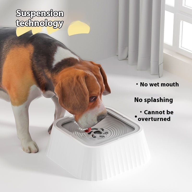 Pets Dog Cat Bowl Floating