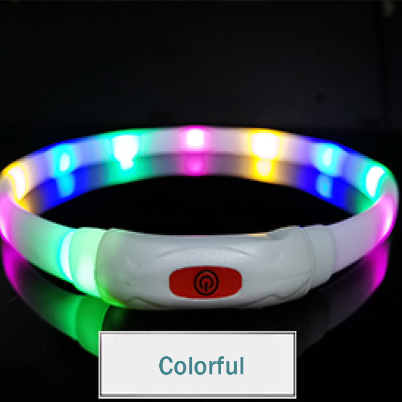 Pet Luminous Collar All Seasons