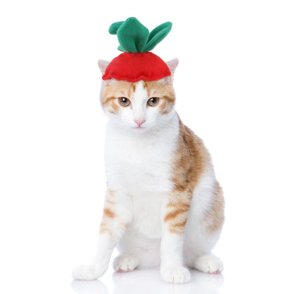 Curly Hair Pet Hat Cat Funny Dress Up Pet Products